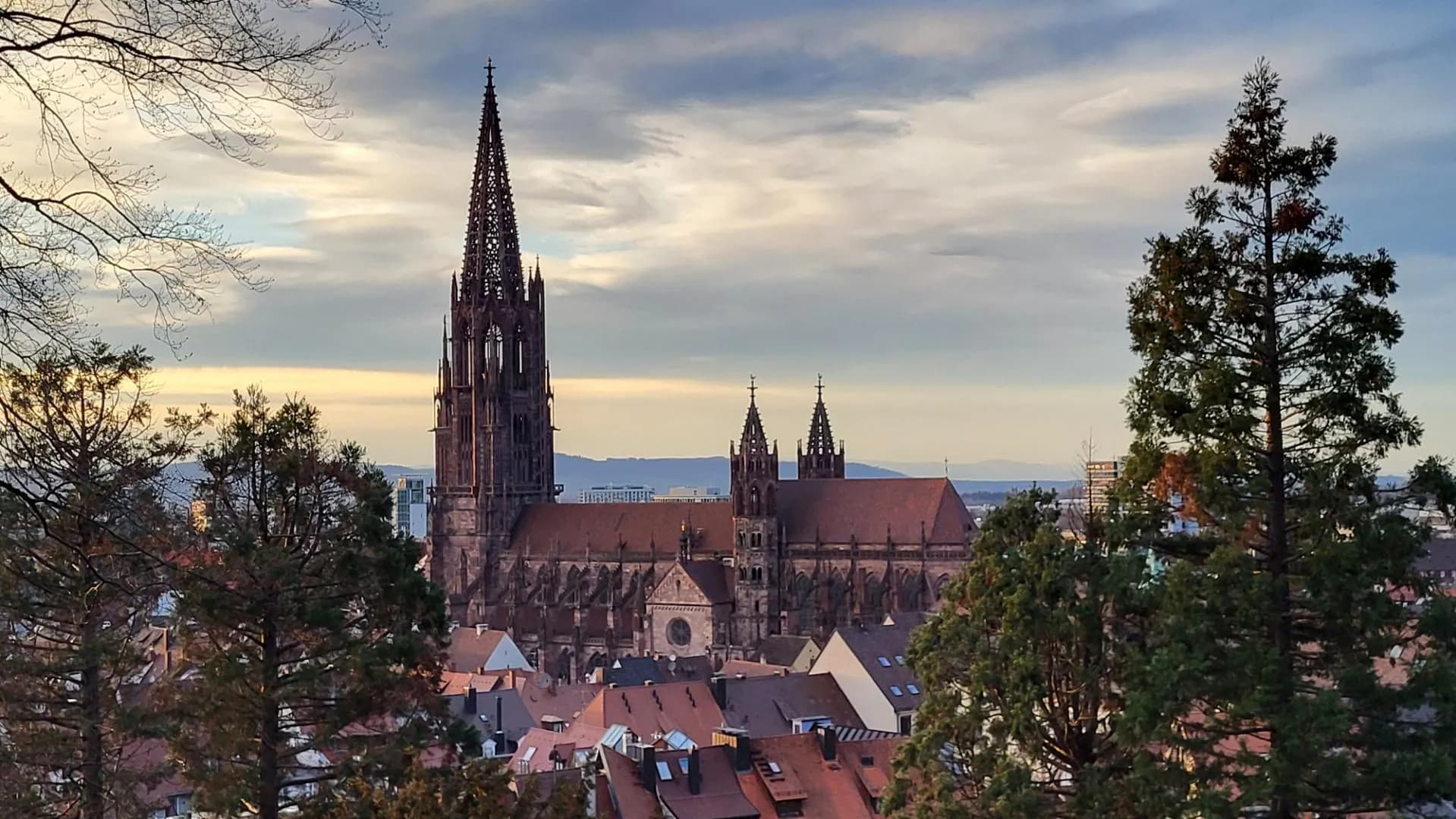 Immobilie verkaufen in Freiburg 2026: Marktlage, Preise und die richtige Vermarktung