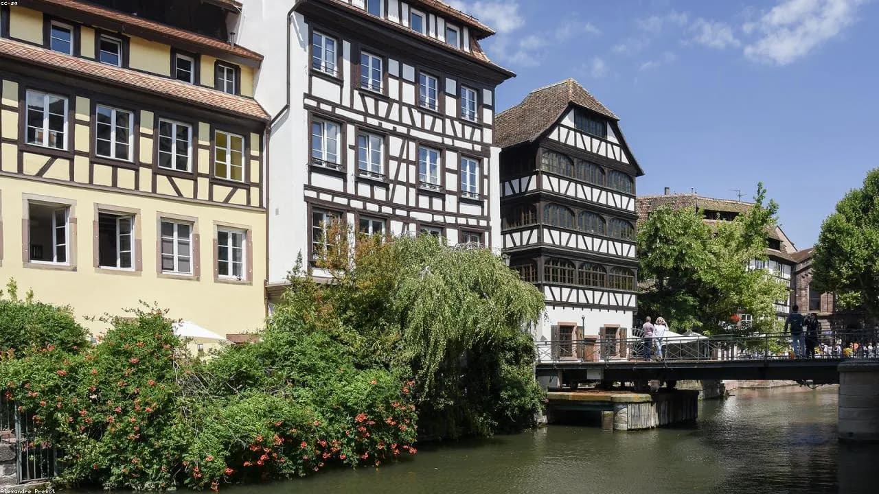 Immobilienvisualisierung für Projektentwickler und Bauträger: vom Grundstück zum Vertriebserfolg
