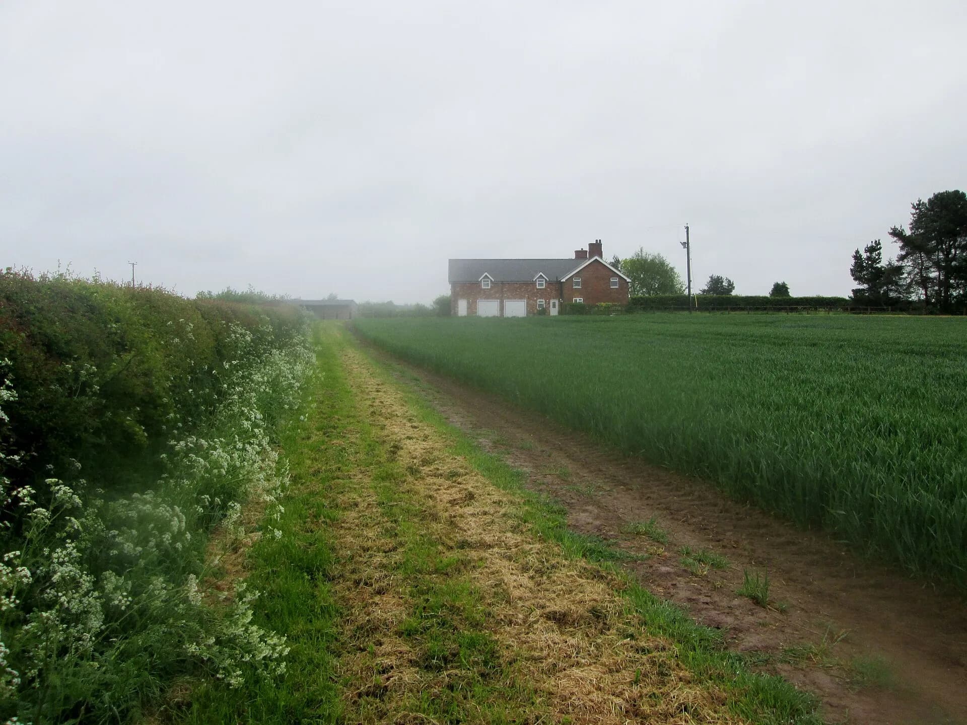 Immobilienfotografie bei Regen und grauem Himmel: So entstehen trotzdem verkaufsstarke Bilder